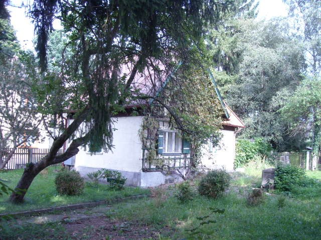 Das idyllische Haus mit Baumbestand www.muenchenfenster.de