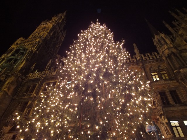 DSCF0236 www.muenchenfenster.de