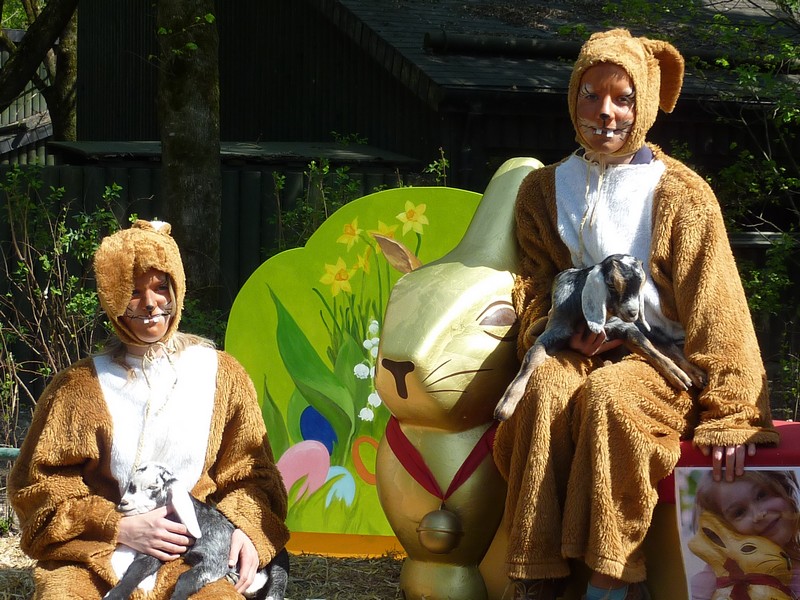 Frohes Osterfest www.muenchenfenster.de