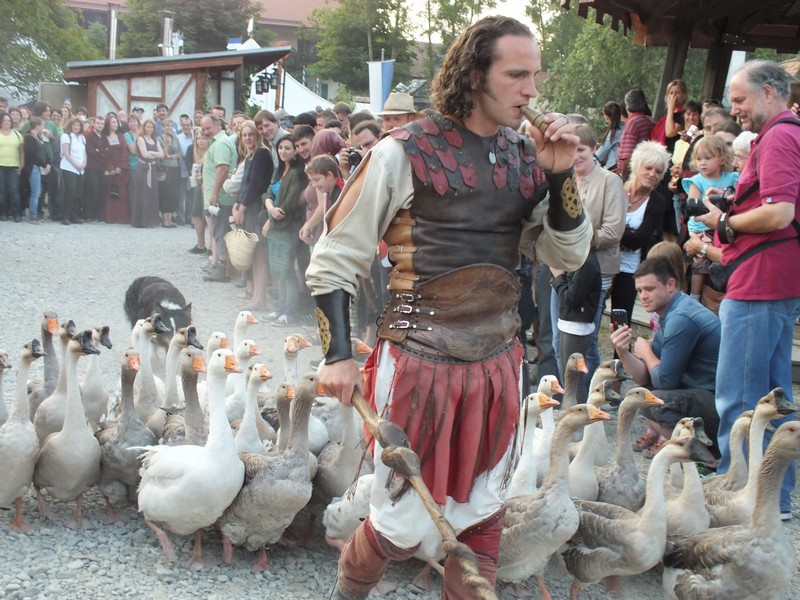 Der Gänseheinrich ruft und alle folgen www.muenchenfenster.dde