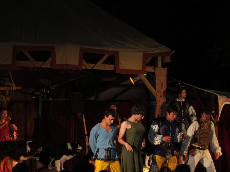 Mittelalterliches Gut Kaltenberg 2013 www.muenchenfenster.de