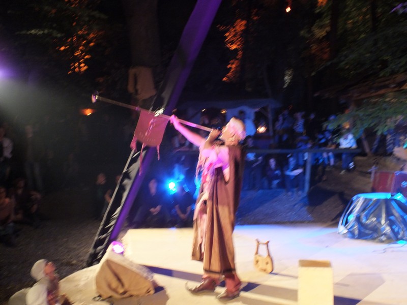 Kaltenberg 2013 ruft zum Ritterturnier www.muenchenfenster.de