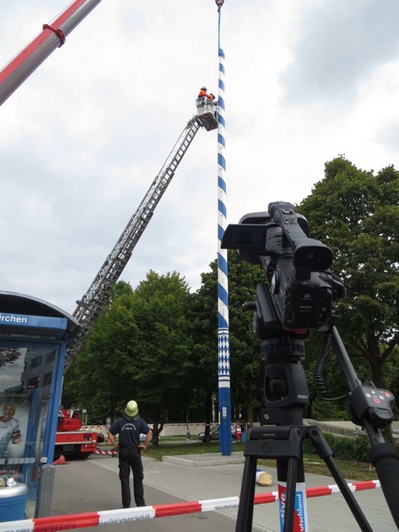 Das war eimal der stolze Maibaibaum www.muenchenfenster.de