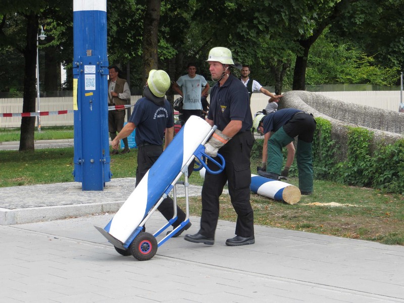 Fein säuberlich abgesägte Maibaum Stücke weden abtransprtiert www.Muenchenfenster.de