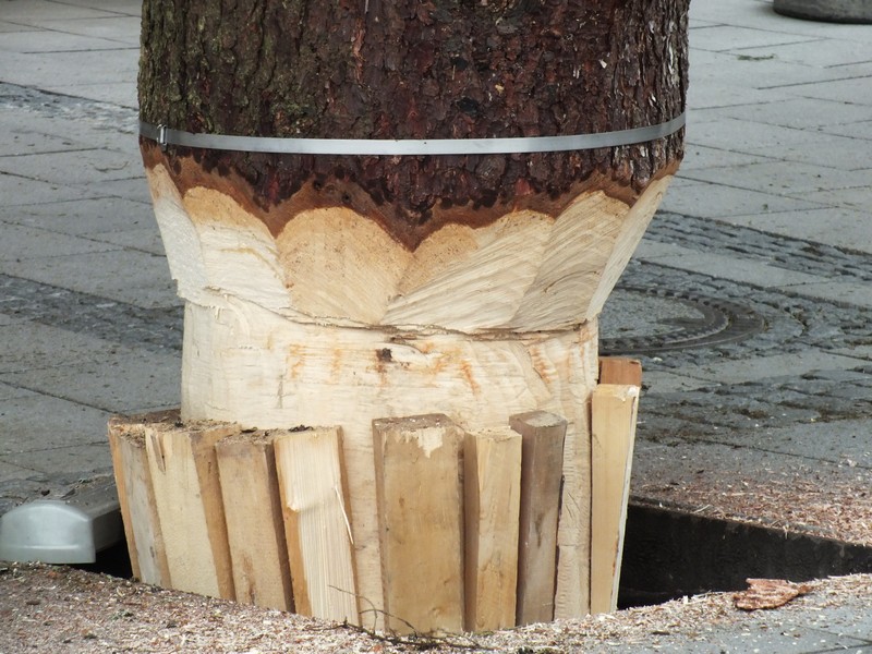 Der Christbaum wurde gut und sicher in das 2 m tiefe Loch eingepasst www.muenchenfenster.de