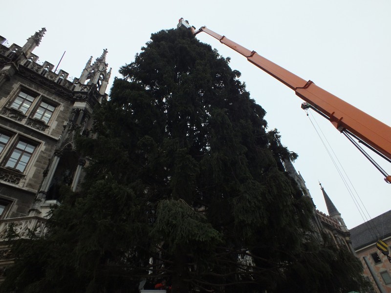 Die grünewSpende aus Bad Kohlgrub www.muenchenfenster.de
