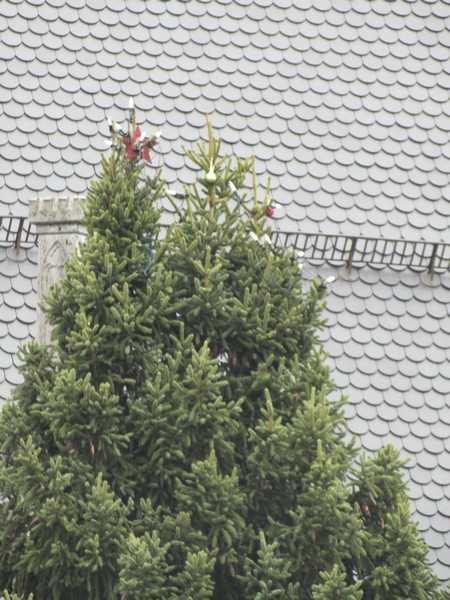 Hier sind die 2 Wipfel des Christbaumes gut zu sehen www.muenchenfenster.de