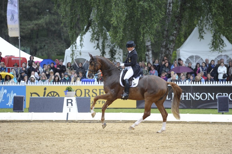 Werth Bella Rose auf der an der Spitze auf der Pferd International 2014 in München Bild:MSchreiner www.muenchenfenster.de