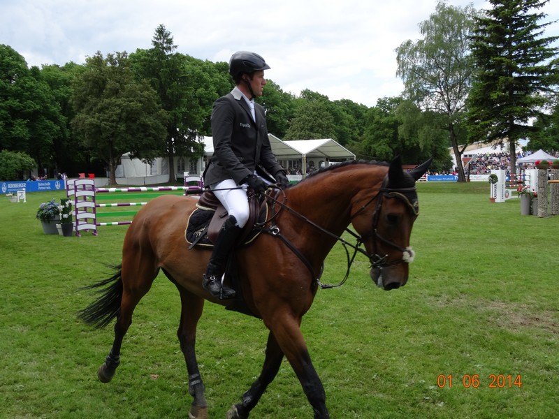 Pferd International 2014 in München Riem www.muenchenfenster.de