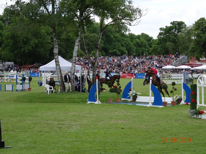Pferd International 2014 in München Riem www.muenchenfenster.de
