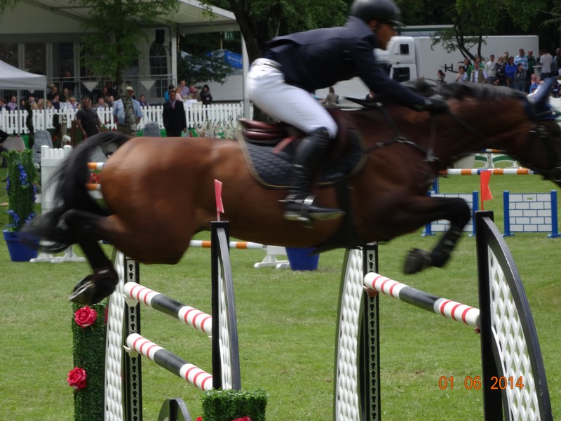 Pferd International 2014 in München Riem www.muenchenfenster.de