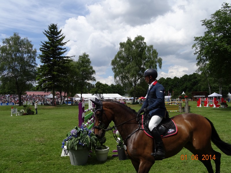 Pferd International 2014 in München Riem www.muenchenfenster.de