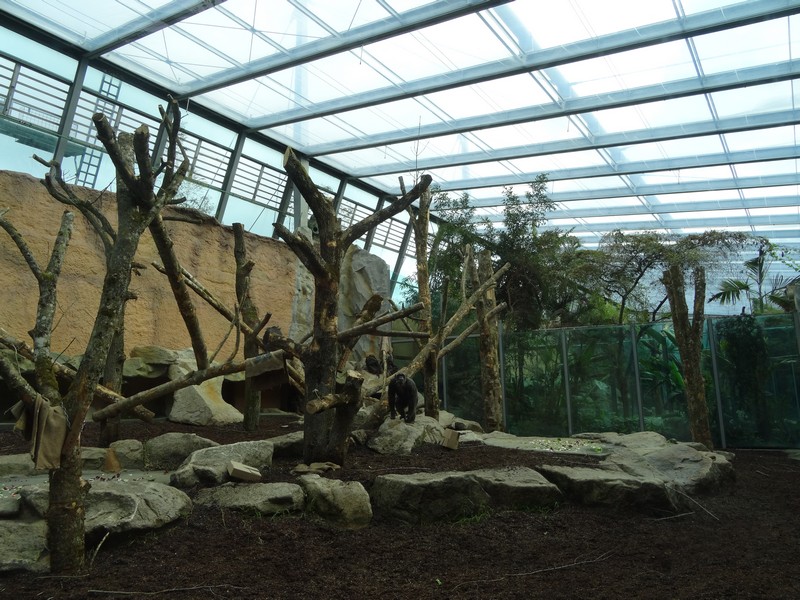 Das grosse, helle, wetlläufige Gehege,Affen www.muenchenfnester.de