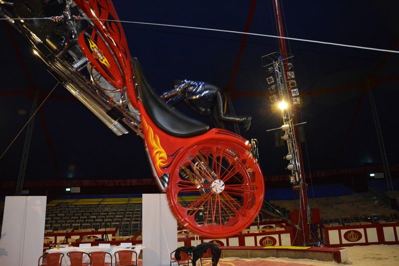 CRAZY WILSON (Kolumbien) ist das akrobatische Highlight der Krone-Evolution. Er schwebt auf den Flügeln des Todesrades und zeigt auf dem „Fliegenden Motorrad" -mit viel Adrenalin im Blut - den gefährlichsten Ritt aller Zeiten. Auf, über und unter dem rotierenden Riesenrad sorgt Wilson Dominguez für Hochspannung pur. Kein Trick in luftiger Höhe ist ihm zu schwierig, kein Stunt zu ausgefallen, um nicht mit dem Entsetzen des Publikums jonglieren zu können. Mit atemberaubender Geschwindigkeit fliegt er um die eigene Achse, dreht Loopings, schlägt Salti. Immer höher, immer schneller, immer weiter. Einsamer Höhepunkt ist der Salto Mortale auf dem Außenrad in 10 Meter Höhe bei 120 km/h im UV-Licht. Bei seinen halsbrecherischen Stunts fiebert sogar die Manege mit. Wetten, daß sein Schutzengel täglich Überstunden macht ? Ausgezeichnet mit dem Silbernen Clown www.munichpeople.com