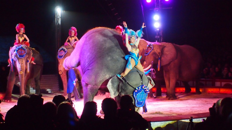 Premiere "EVULUTION" der Circus Krone auf der Theresienwiese in München Bild rlstudios www.munichpeople.com