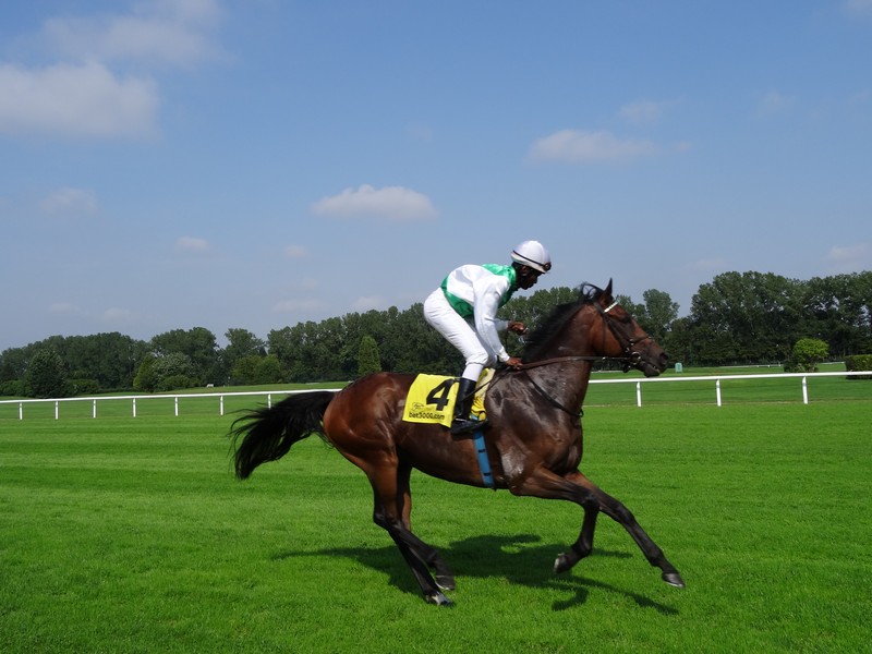 Dallmayr Renntag www..münchnerfenster.de