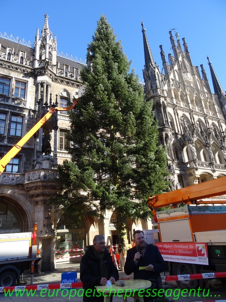 Fein und schön der Weihnachtsbaum in München www.europaeischepresseagentur.com www.europaeischepresseagentur.com
