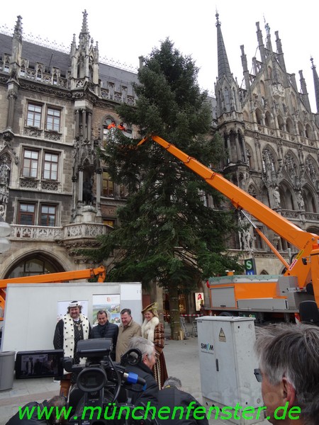 Weihnachtsbaum am Marienplatz www.muenchenfenster.de www.münchnerpresse.de
