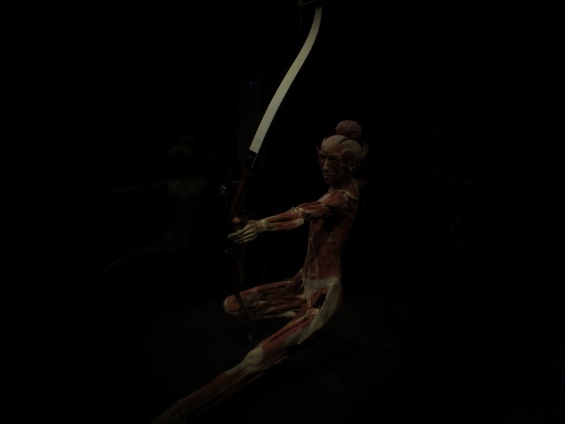 Wir erleben unseren Körper