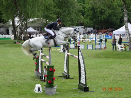 www,muenchnerfenster.de